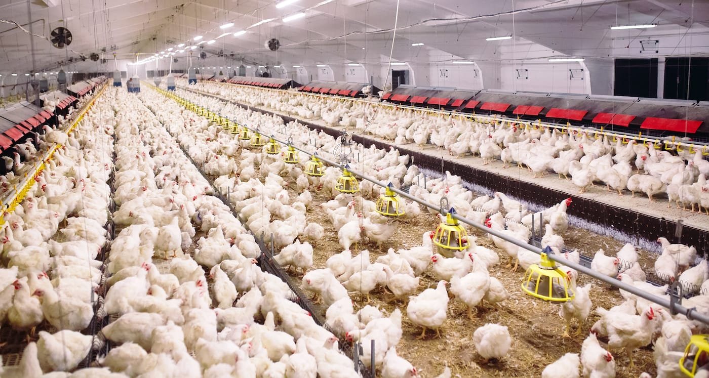 Perusahaan Milik SRO Gelar Transaksi Repo Sebanyak 13 Juta Saham WMUU