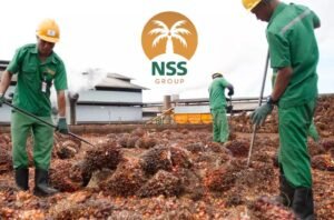 nsss