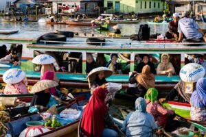 BMRI2