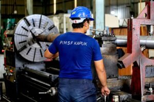 GPSO PIMSF