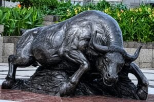 Banteng Wulung